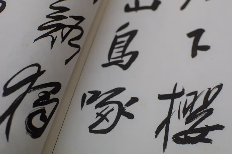 陳鴻寿の書法 DSC_1696.jpg
